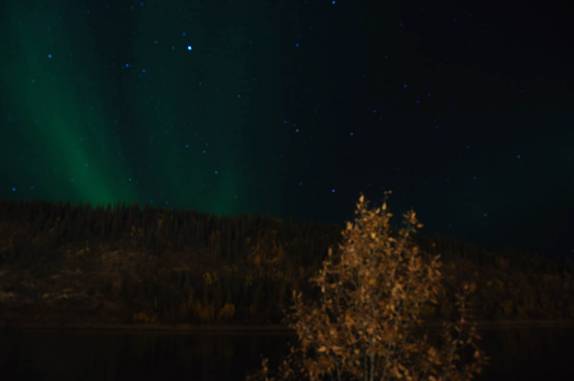 Magnífica Aurora Boreal em Dawson City, no Yukon Territory, noroeste do Canadá